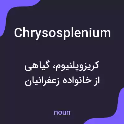 معنی chrysosplenium به فارسی