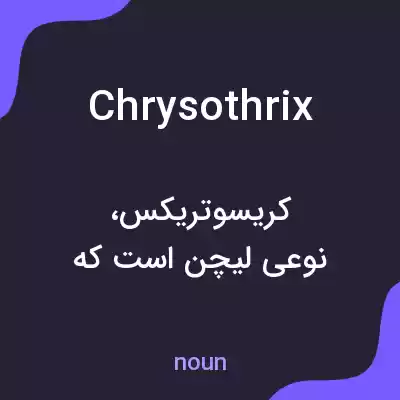 معنی chrysothrix به فارسی معنی chrysothrix به فارسی