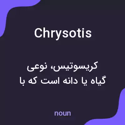 معنی chrysotis به فارسی معنی chrysotis به فارسی
