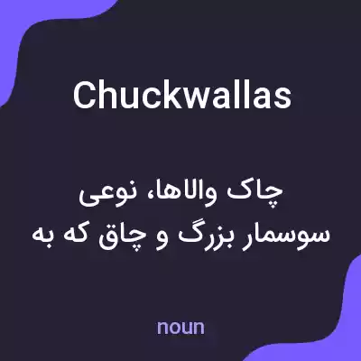 معنی chuckwallas به فارسی معنی chuckwallas به فارسی