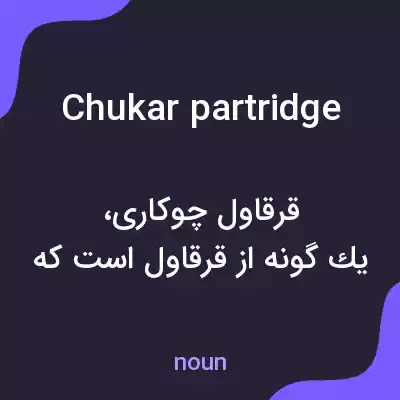 معنی chukar partridge به فارسی معنی chukar partridge به فارسی