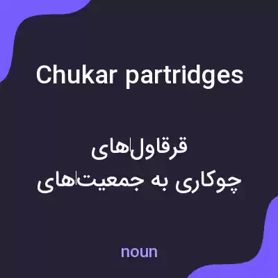 معنی chukar partridges به فارسی معنی chukar partridges به فارسی