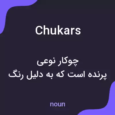 معنی chukars به فارسی