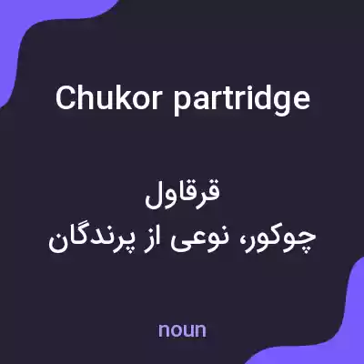 معنی chukor partridge به فارسی معنی chukor partridge به فارسی