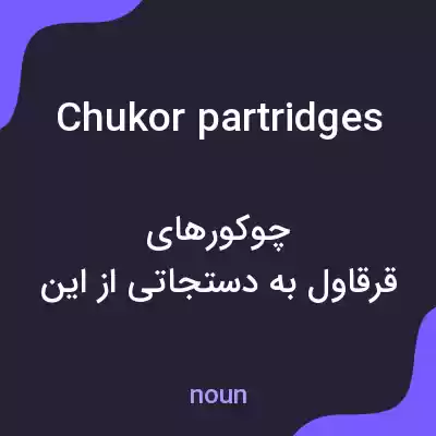 معنی chukor partridges به فارسی معنی chukor partridges به فارسی