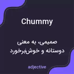 معنی chummy به فارسی