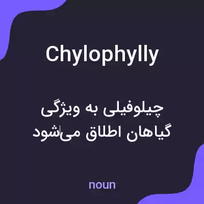 معنی chylophylly به فارسی معنی chylophylly به فارسی