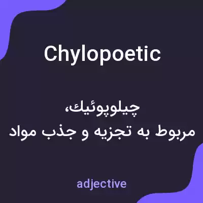معنی chylopoetic به فارسی معنی chylopoetic به فارسی