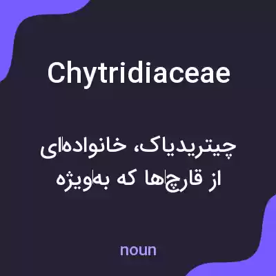 معنی chytridiaceae به فارسی معنی chytridiaceae به فارسی