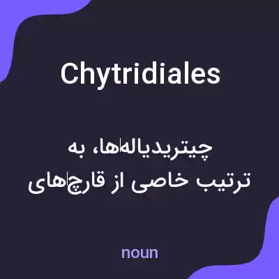 معنی chytridiales به فارسی معنی chytridiales به فارسی