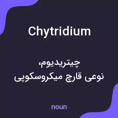 معنی chytridium به فارسی معنی chytridium به فارسی