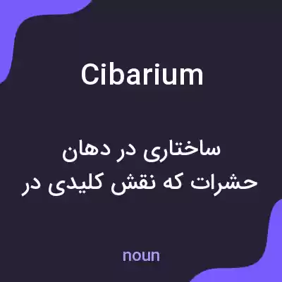 معنی cibarium به فارسی معنی cibarium به فارسی