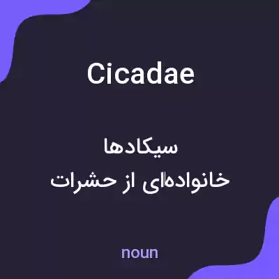 معنی cicadae به فارسی معنی cicadae به فارسی