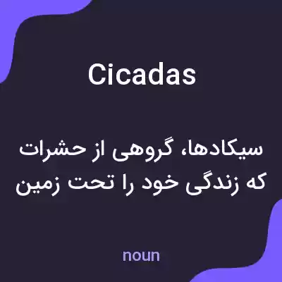 معنی cicadas به فارسی معنی cicadas به فارسی