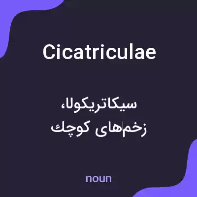 معنی cicatriculae به فارسی معنی cicatriculae به فارسی
