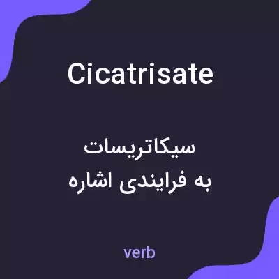 معنی cicatrisate به فارسی معنی cicatrisate به فارسی