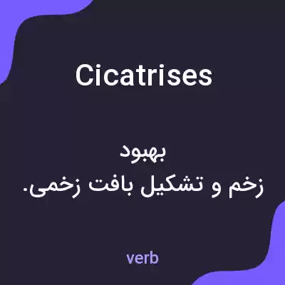 معنی cicatrises به فارسی معنی cicatrises به فارسی