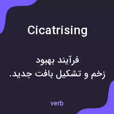 معنی cicatrising به فارسی
