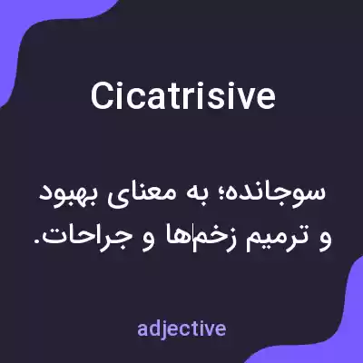 معنی cicatrisive به فارسی