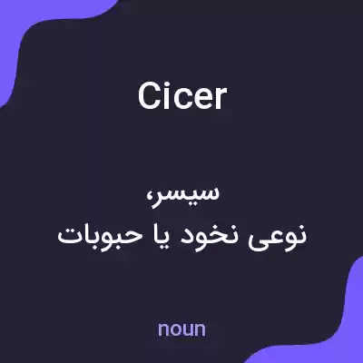 معنی cicer به فارسی معنی cicer به فارسی