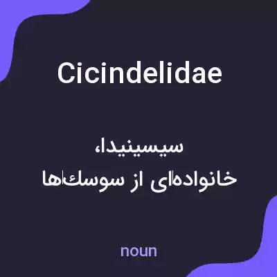 معنی cicindelidae به فارسی معنی cicindelidae به فارسی