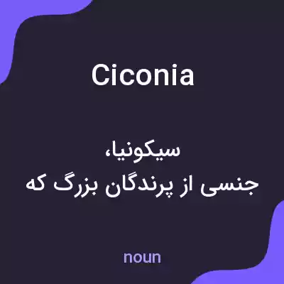 معنی ciconia به فارسی
