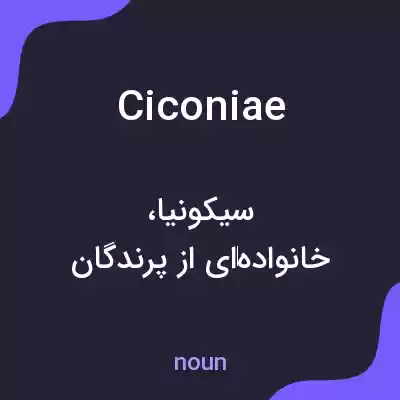 معنی ciconiae به فارسی معنی ciconiae به فارسی