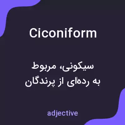 معنی ciconiform به فارسی معنی ciconiform به فارسی