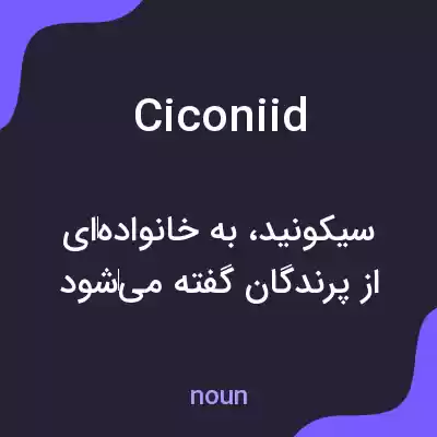 معنی ciconiid به فارسی معنی ciconiid به فارسی