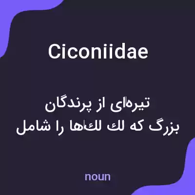 معنی ciconiidae به فارسی معنی ciconiidae به فارسی