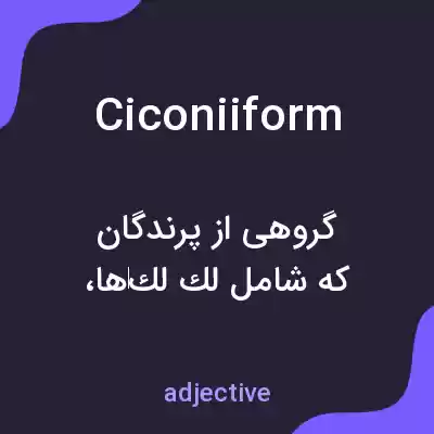 معنی ciconiiform به فارسی معنی ciconiiform به فارسی