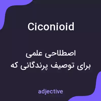 معنی ciconioid به فارسی معنی ciconioid به فارسی