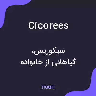 معنی cicorees به فارسی معنی cicorees به فارسی