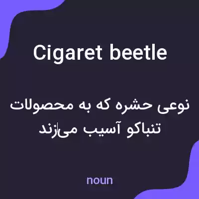 معنی cigaret beetle به فارسی معنی cigaret beetle به فارسی