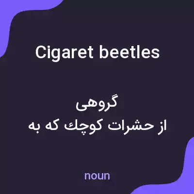 معنی cigaret beetles به فارسی معنی cigaret beetles به فارسی