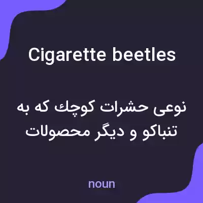 معنی cigarette beetles به فارسی معنی cigarette beetles به فارسی