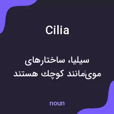 معنی cilia به فارسی معنی cilia به فارسی