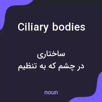 معنی ciliary bodies به فارسی معنی ciliary bodies به فارسی