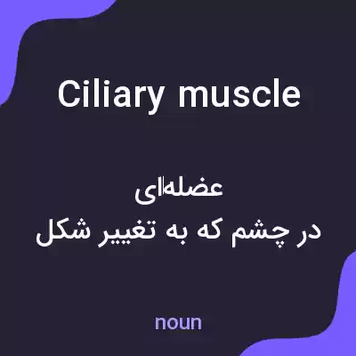 معنی ciliary muscle به فارسی معنی ciliary muscle به فارسی