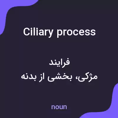 معنی ciliary process به فارسی معنی ciliary process به فارسی