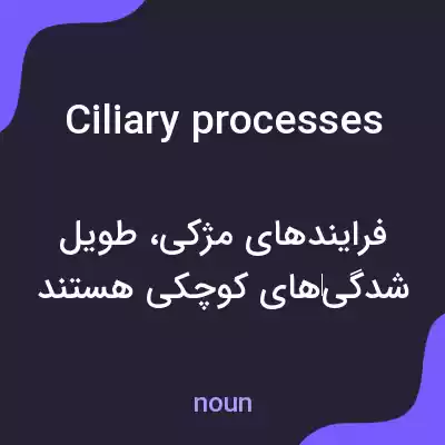 معنی ciliary processes به فارسی معنی ciliary processes به فارسی