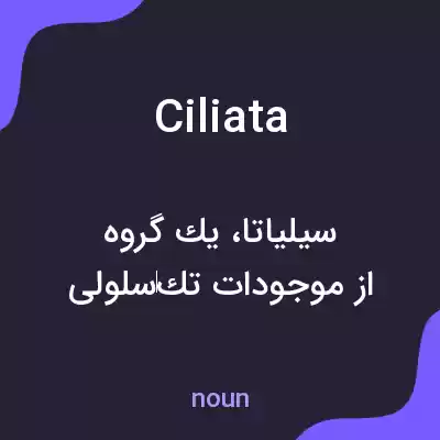 معنی ciliata به فارسی معنی ciliata به فارسی