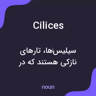 معنی cilices به فارسی