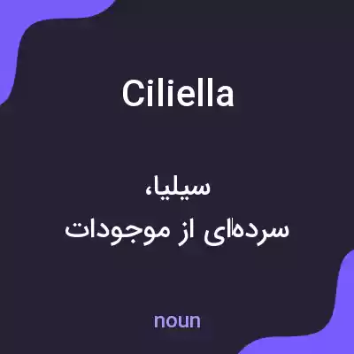 معنی ciliella به فارسی معنی ciliella به فارسی