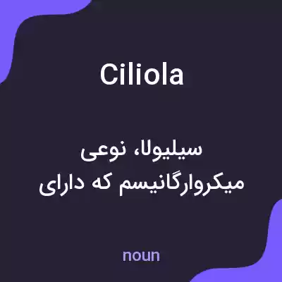 معنی ciliola به فارسی