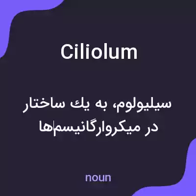 معنی ciliolum به فارسی معنی ciliolum به فارسی
