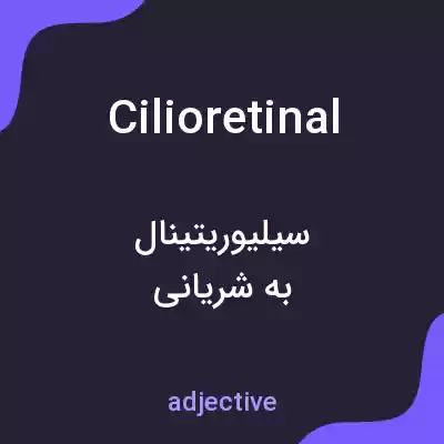 معنی cilioretinal به فارسی معنی cilioretinal به فارسی