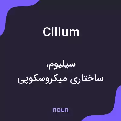 معنی cilium به فارسی معنی cilium به فارسی