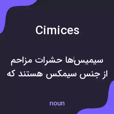 معنی cimices به فارسی معنی cimices به فارسی