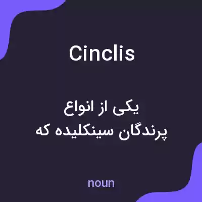 معنی cinclis به فارسی معنی cinclis به فارسی